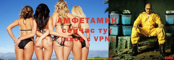 гидра Лагань