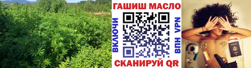 Дистиллят ТГК Wax  купить закладку  Ленинградская 
